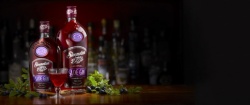 Sloemotion Sloe Gin